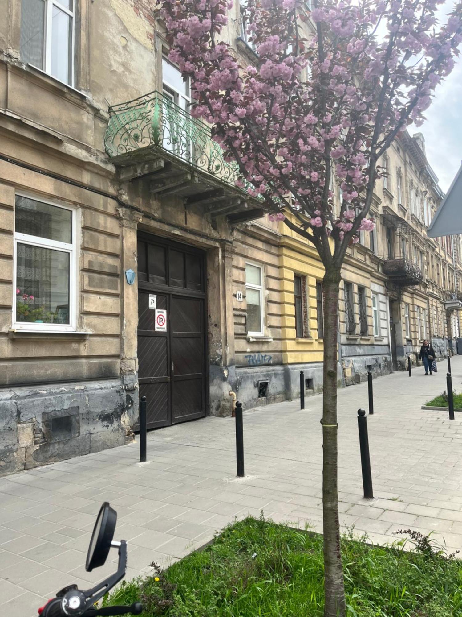 Medova Apartments Lviv Dış mekan fotoğraf
